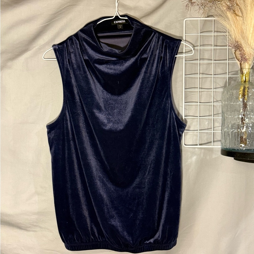 Express Women's Dark Blue Velvet Tank Top